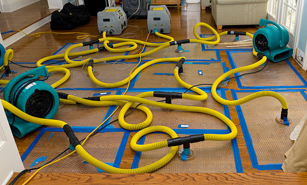 Professional Water Extraction technician working in Dudley, NC